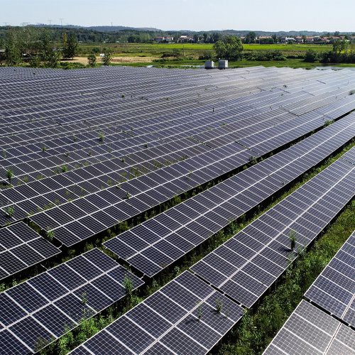 水位検知システム